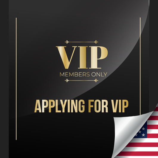 U.S. Business Setup Support