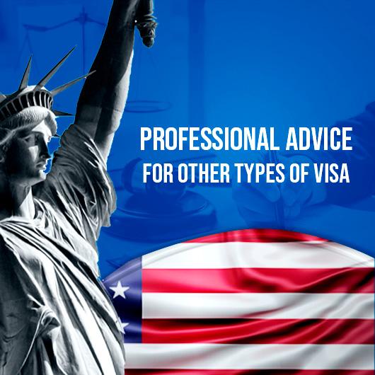 Professional Guidance for Other U.S. Visa Categories