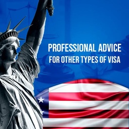 Professional Guidance for Other U.S. Visa Categories